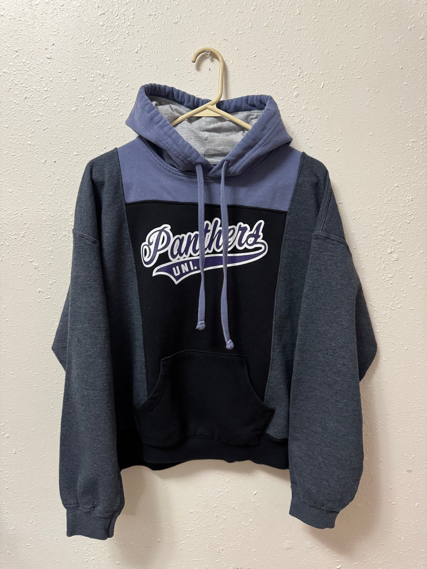 Panthers Hoodie